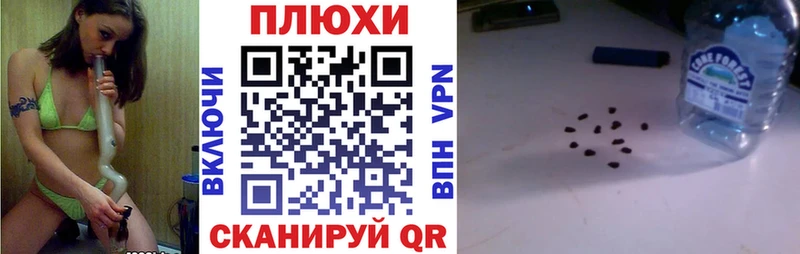 Гашиш Изолятор  Пущино 