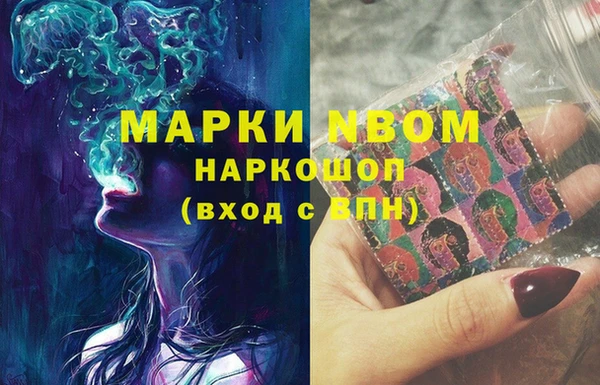 индика Алзамай
