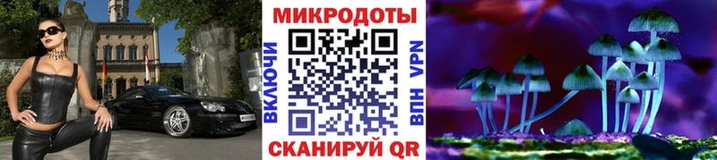 Псилоцибиновые грибы мицелий  купить наркотик  Пущино 